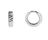 Orecchini EXTRA GOLD in Oro bianco 2004955710156